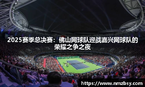 2025赛季总决赛：佛山网球队迎战嘉兴网球队的荣耀之争之夜